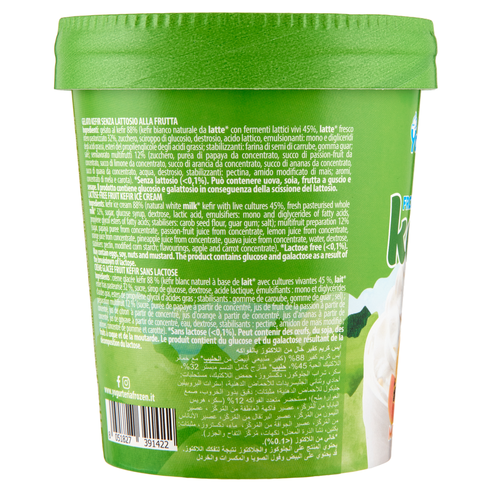 Yogurteria Frozen Yogurt Frozen kefir Multifrutti 250 g