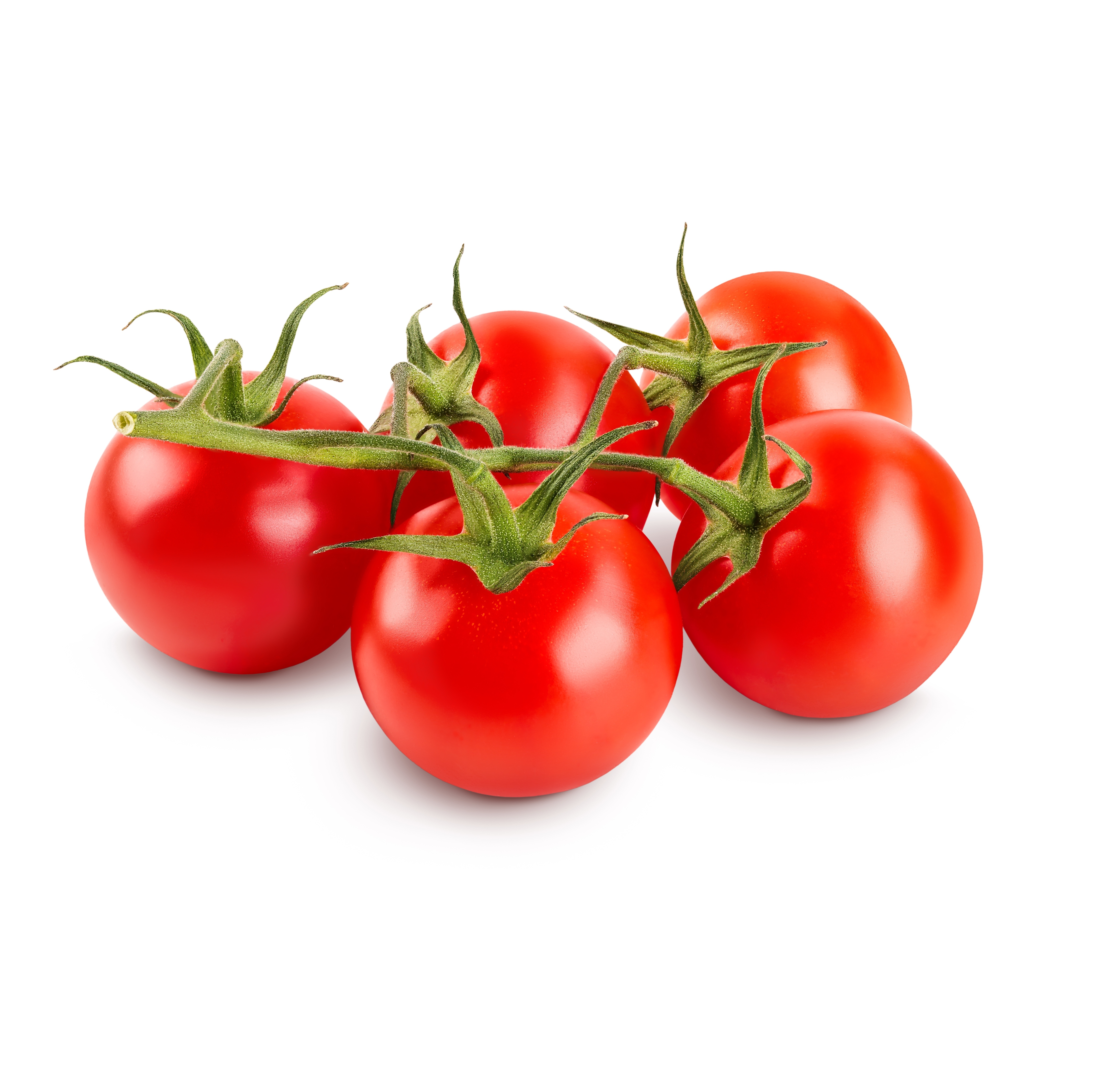 Pomodoro Tondo da Sugo 800 g