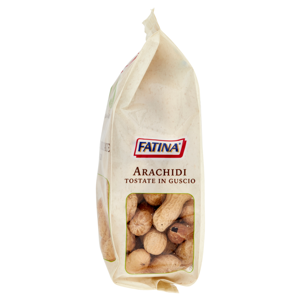 Fatina Bio organic Arachidi Tostate in Guscio 250 g