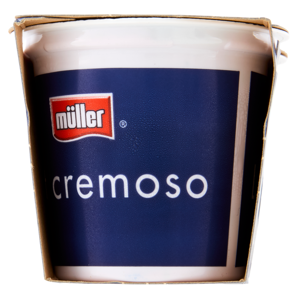 müller Yogurt Cremoso Mirtillo in Pezzi 2 x 125 g