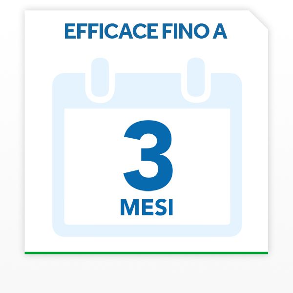 Raid Esca Scarafaggi Insetticida Inodore, Efficace fino a 3 Mesi, Area di Utilizzo Interno ed Esterno - 1 Confezione da 6 Pezzi