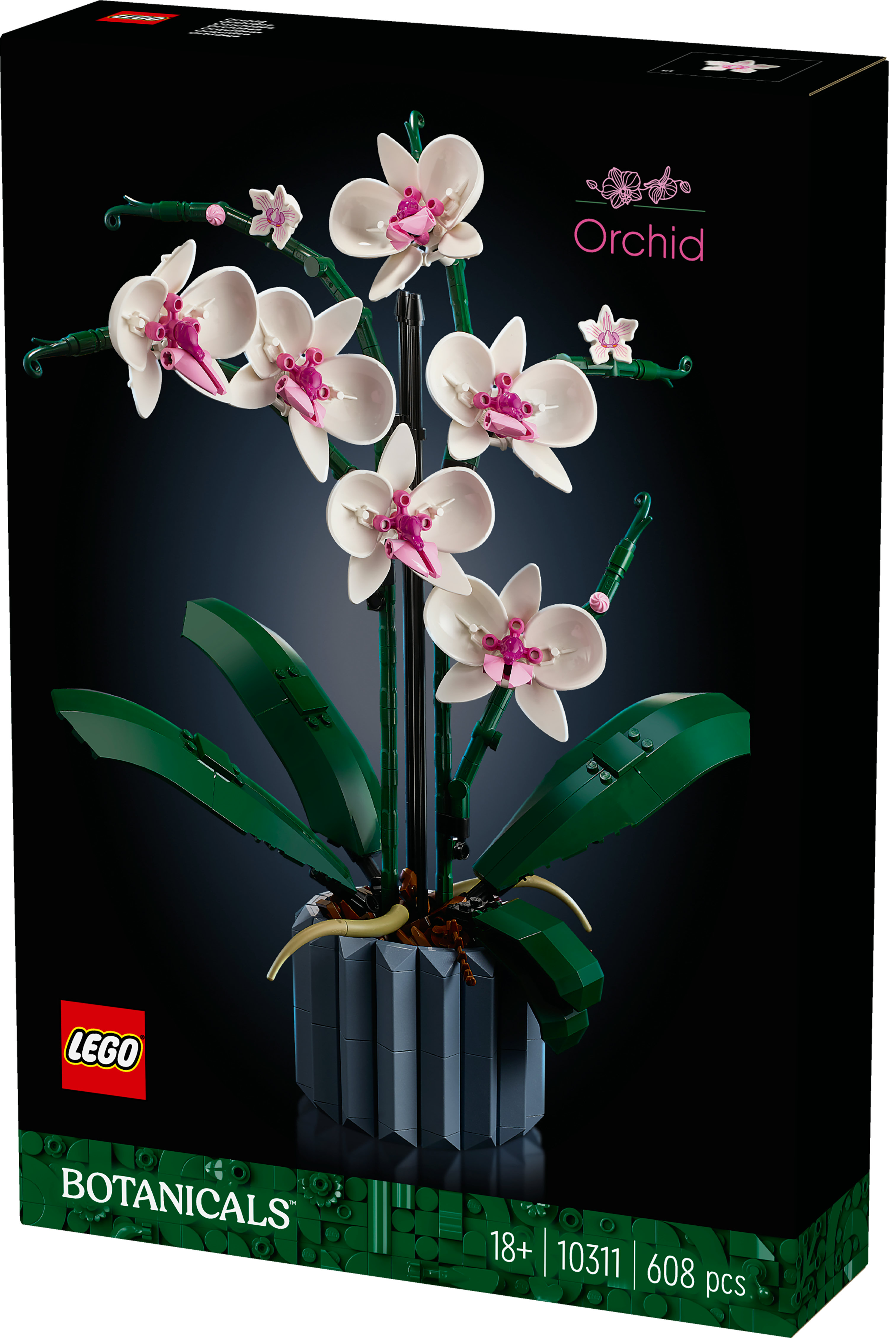 LEGO Botanicals Orchidea