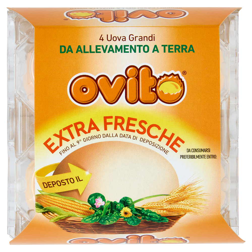 Ovito Extra Fresche 4 Uova Grandi da Allevamento a Terra