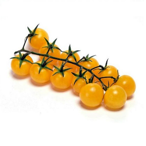 Pomodorini Ciliegini Gialli Senza Nichel