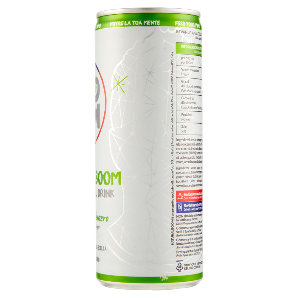NATURALBOOM Thè verde e Zenzero 250 ml