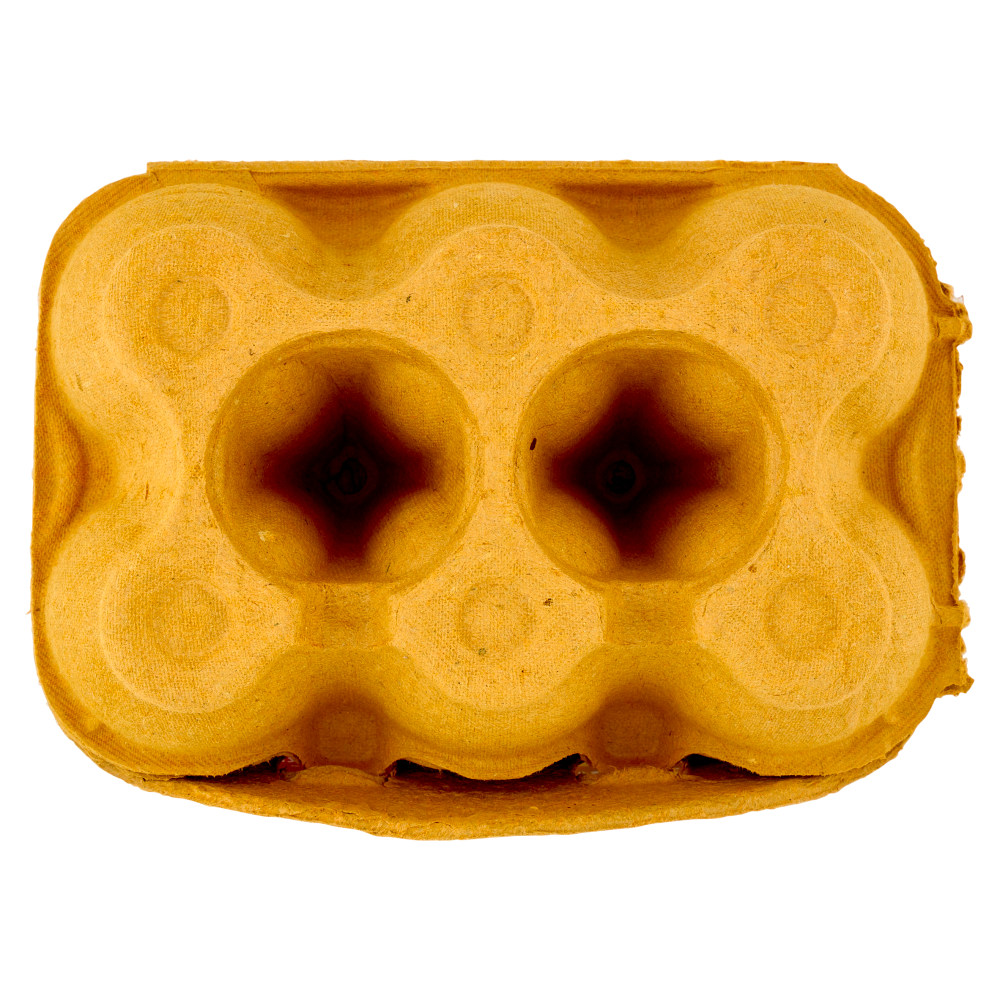 Aia Pastagialla 6 Uova Fresche Medie da allevamento a Terra 