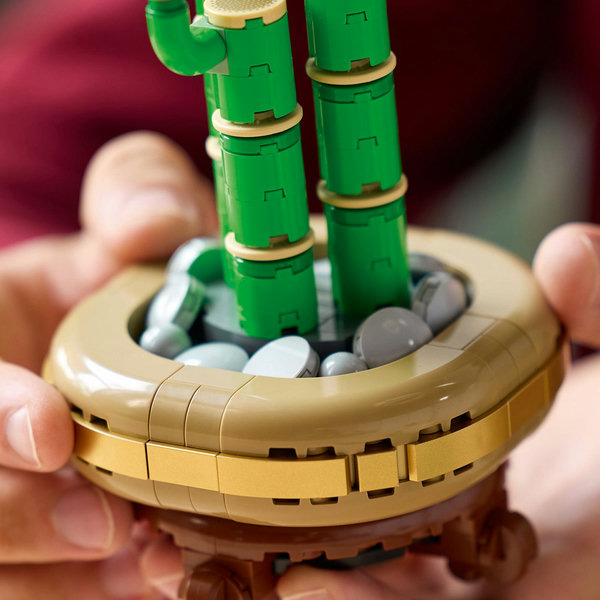 LEGO Botanicals Bambù del buon auspicio