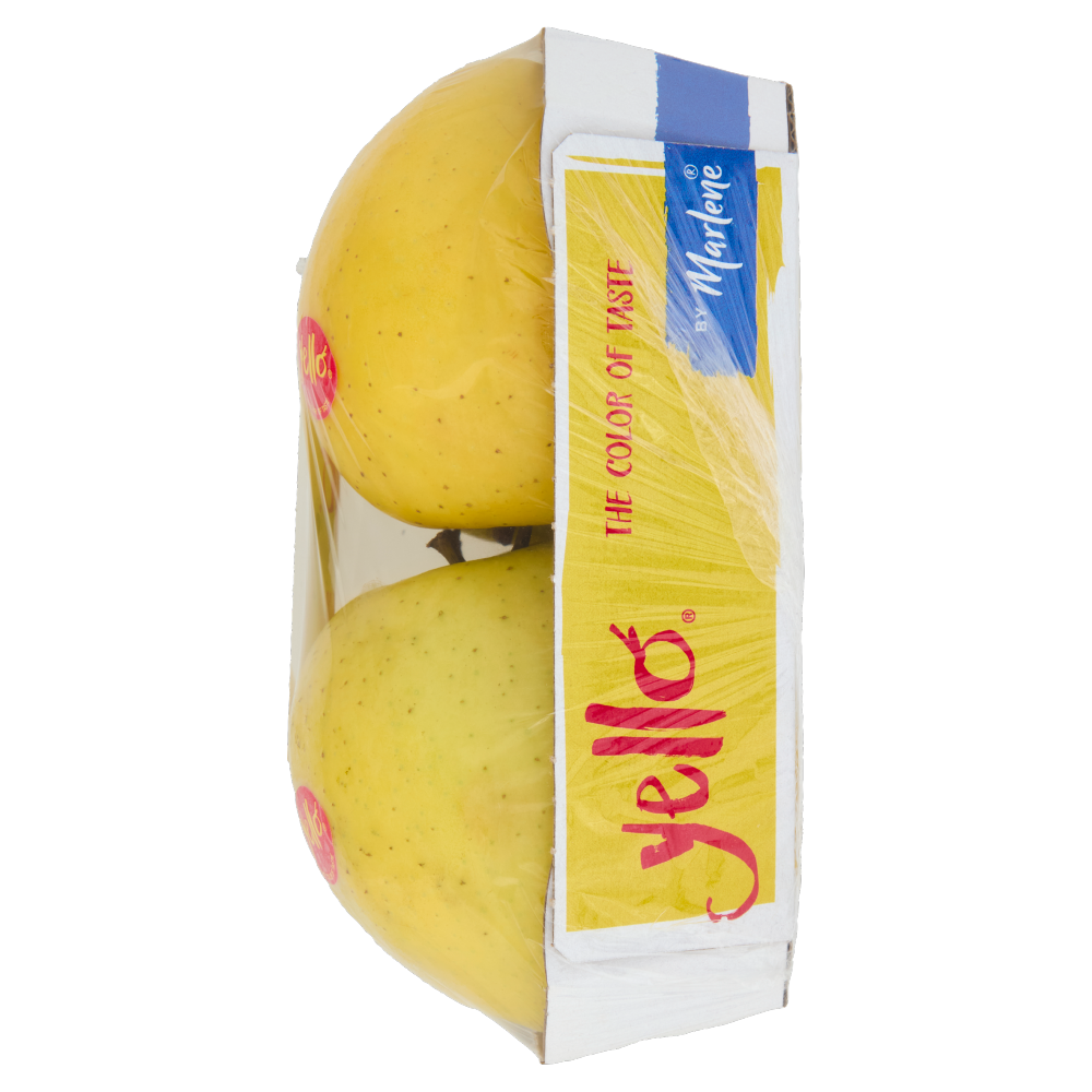 yello by Marlene Shinano Gold vassoio 4 frutti