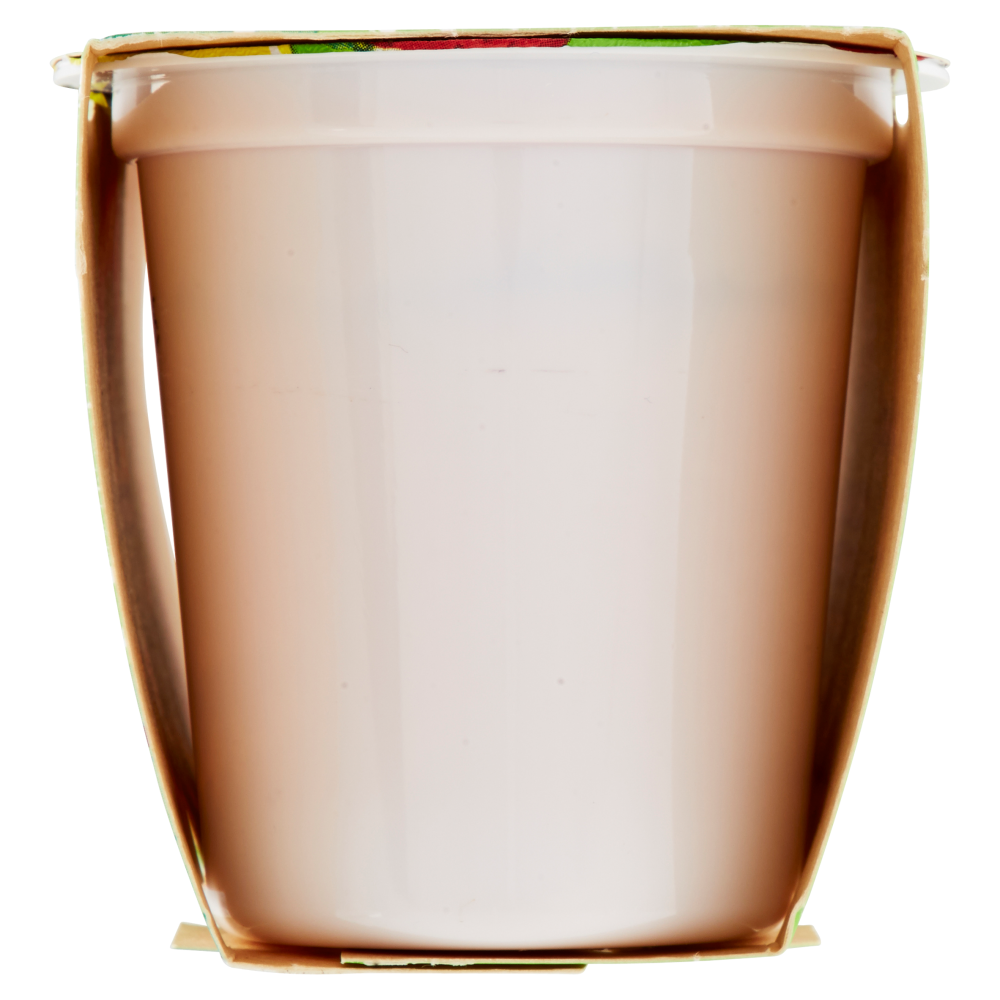 Centrale del Latte di Torino Tapporosso Yogurt Magro Fragola 2 x 125 g