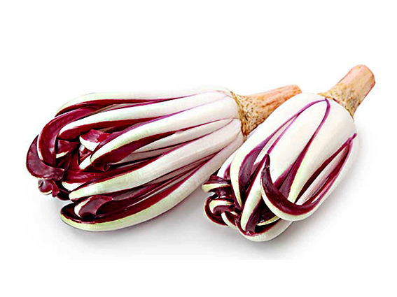 Terre d'Italia Radicchio tardivo IGP 350 g
