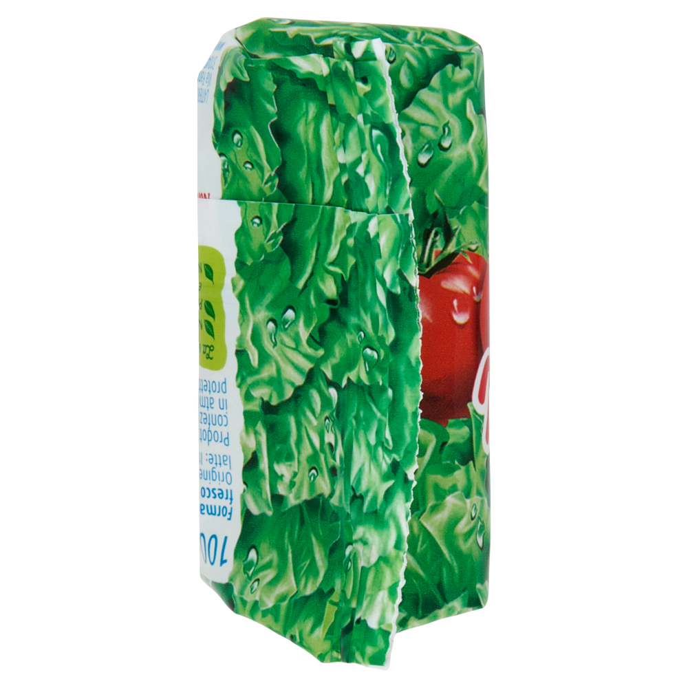 Nonno Nanni stracchino 100 g