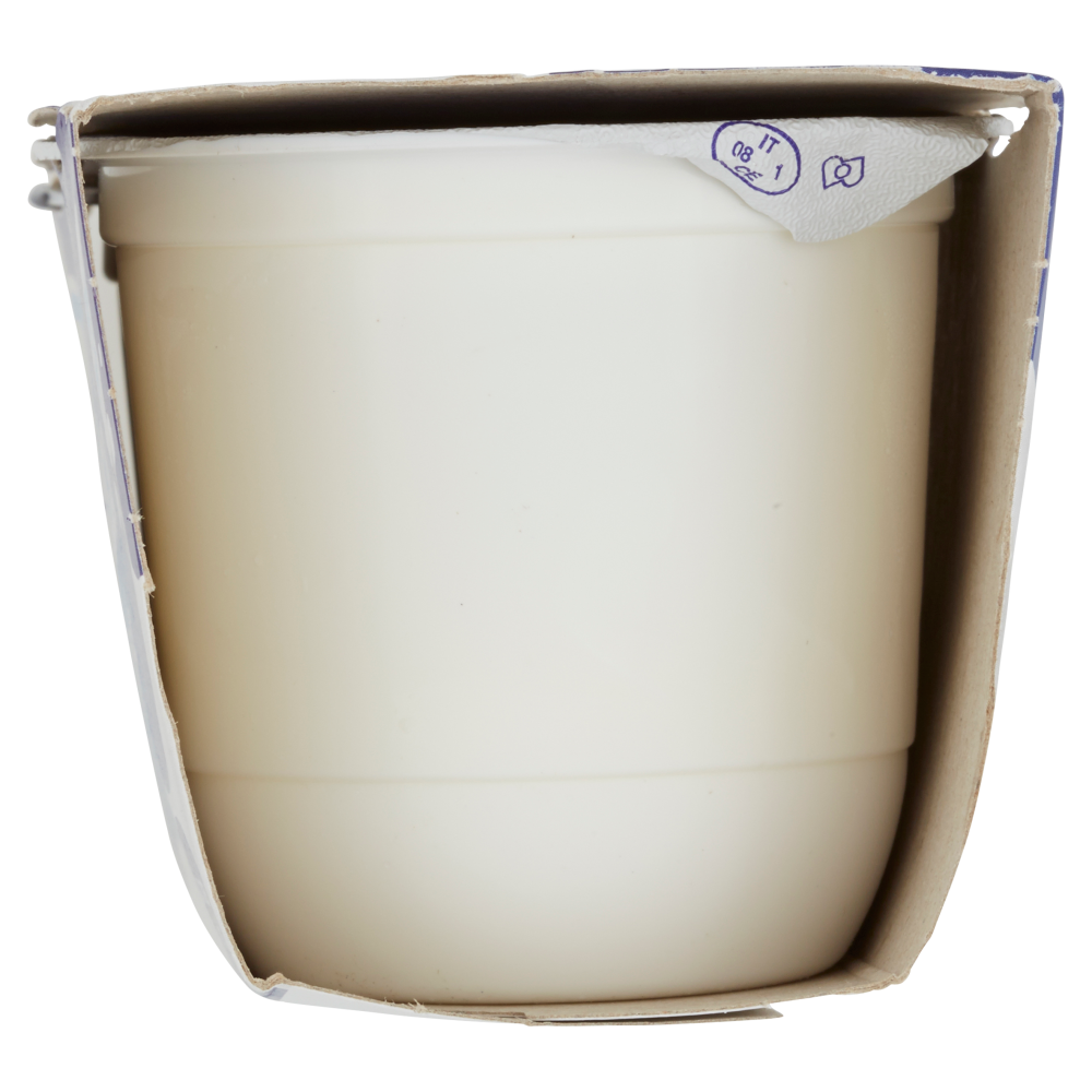 Centrale del Latte di Roma Bontà Centrale Yogurt intero bianco 2 x 125 g