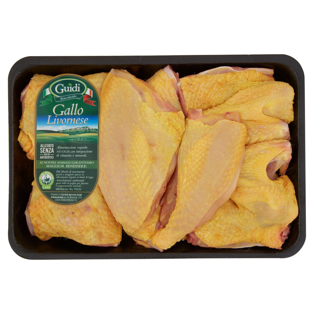 Guidi Gallo Livornese in Parti