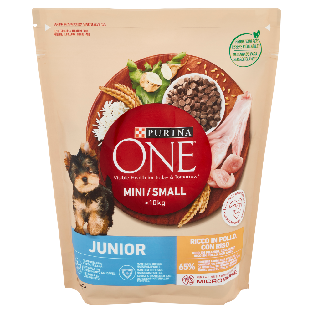PURINA ONE Mini/Small Junior Ricco in Pollo con Riso 800g