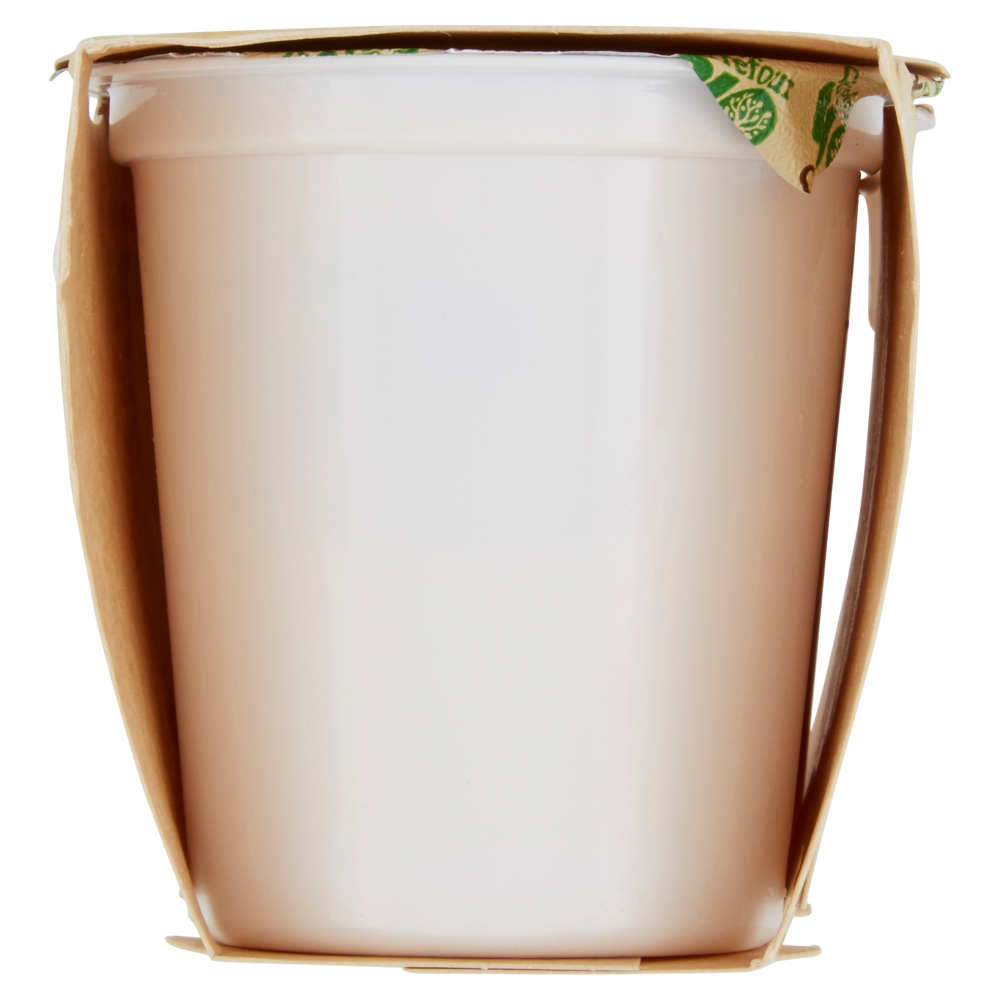 Carrefour Bio SoySì Pesca 2 x 125 g