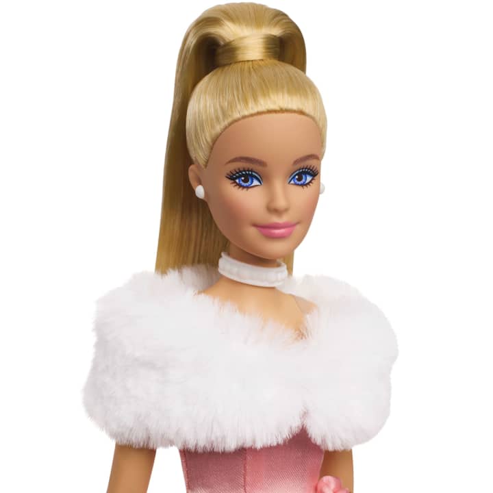 Barbie JHD25 bambola