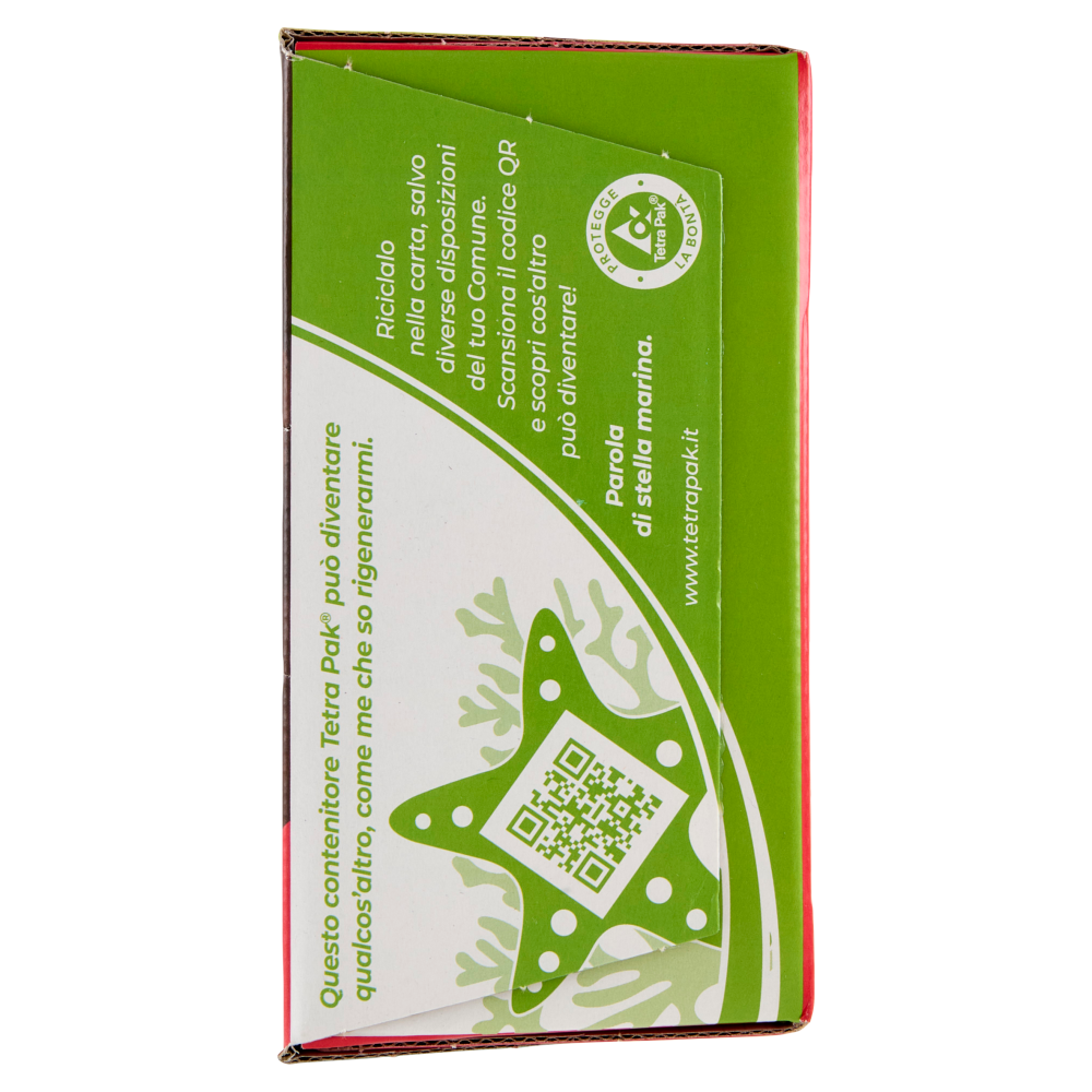 Valfrutta i Triangolini Pesca Italiana succo e polpa Brik 12 x 100 ml