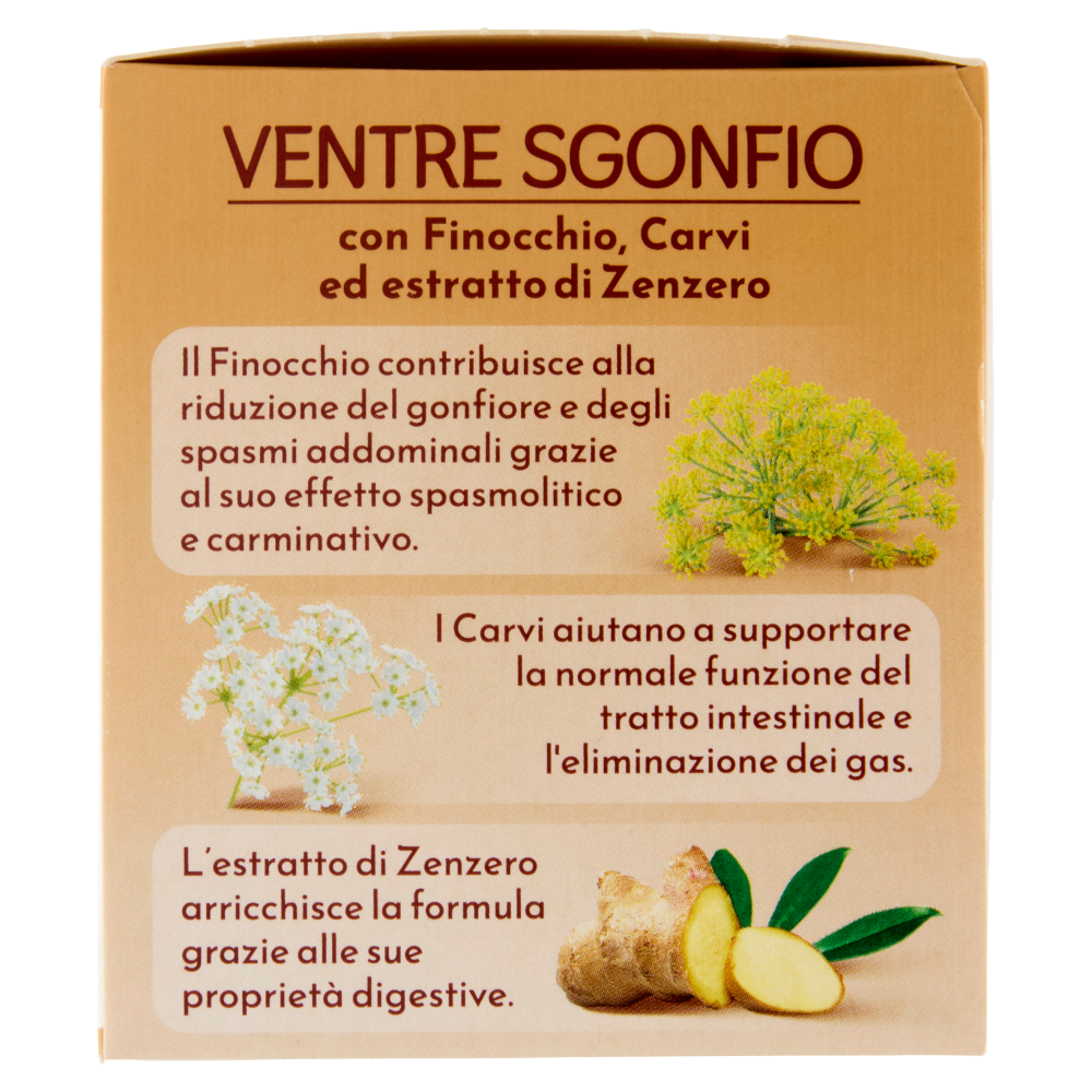 Bonomelli Ventre Sgonfio Tisana per Infusione 16 Filtri 32 g