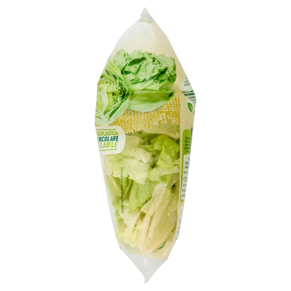 Bonduelle Iceberg 200 g