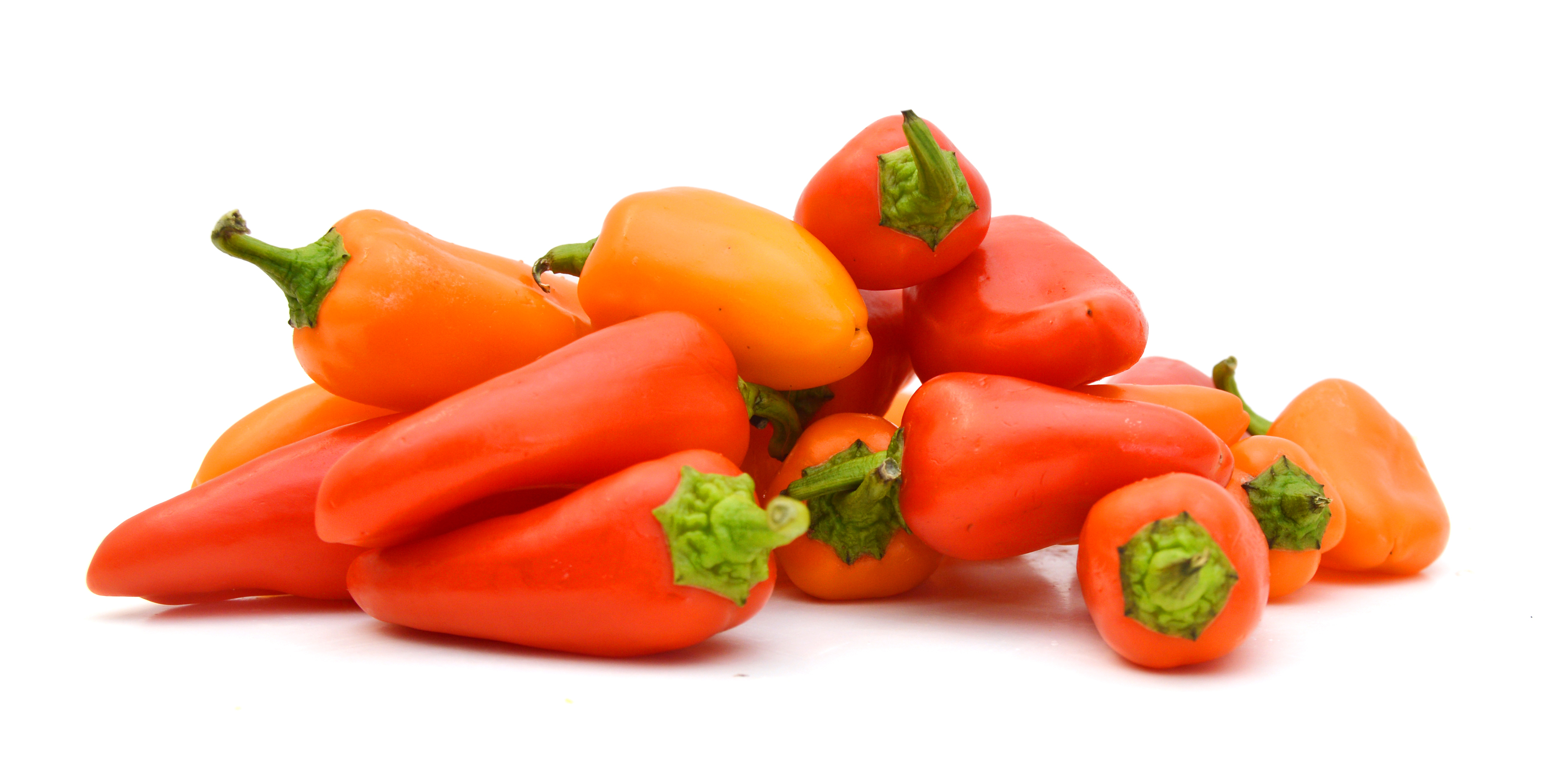 Mini Peperoni Rossi Bio