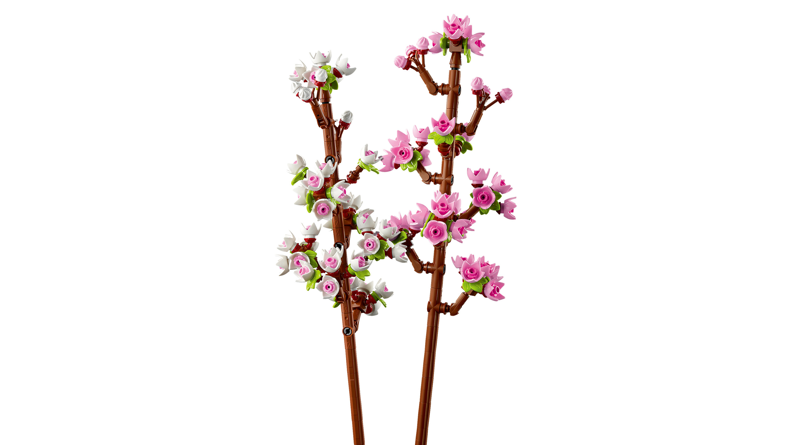 LEGO Botanicals 40725 Fiori di Ciliegio, Set per Adulti, Bambine e Bambini da 8+, Regalo Collezione Botanica per Donna o Uomo