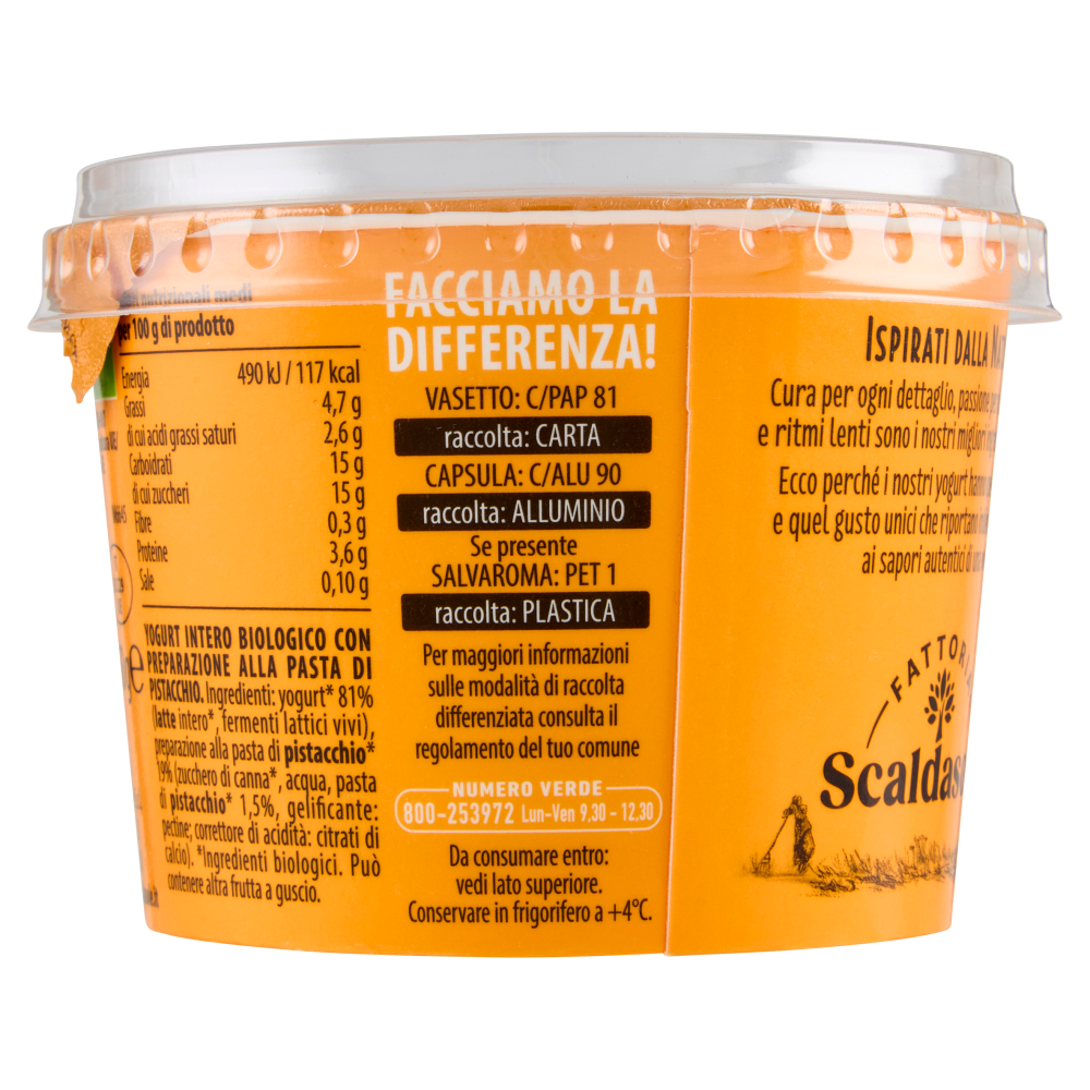 Fattoria Scaldasole Pistacchio yogurt biologico 250 g