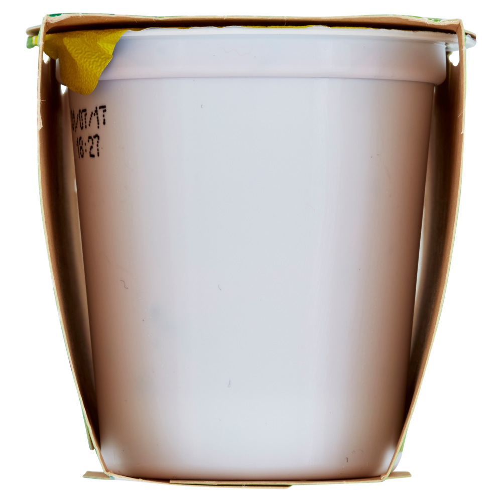 Centrale del Latte di Torino Tapporosso Yogurt Magro Frutti di Bosco in pezzi 2 x 125 g