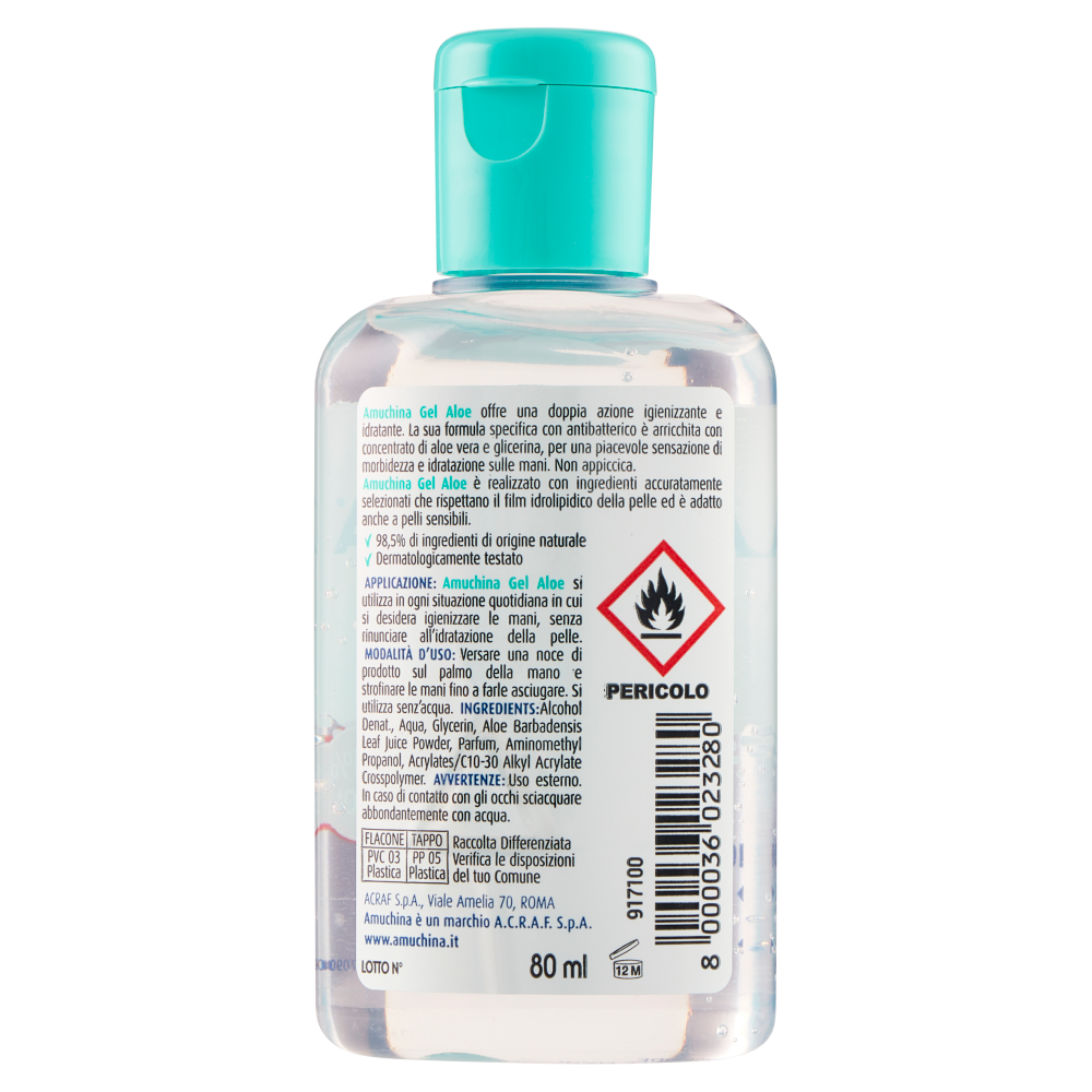 Amuchina Gel Aloe 80 ml
