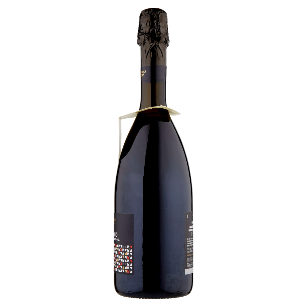 Terre d'Italia Campo Maio Lambrusco di Modena D.O.C. 750 ml