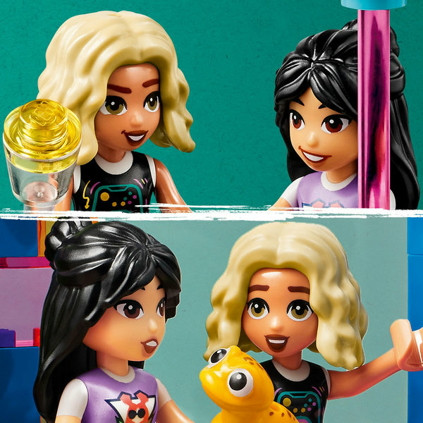 LEGO Friends Karaoke Party