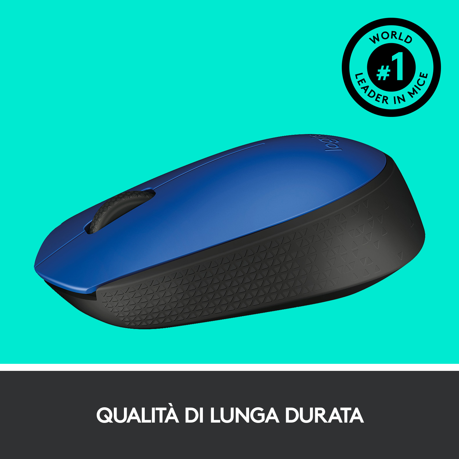 Logitech M171