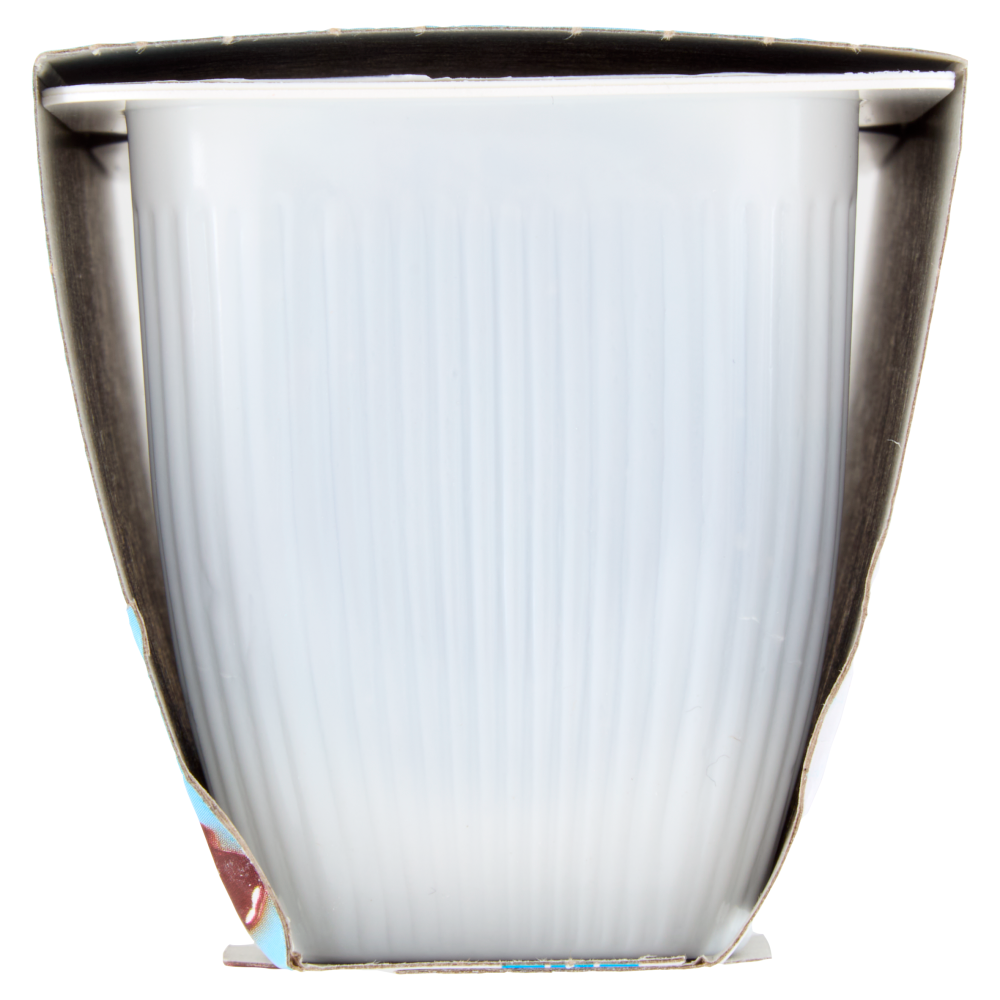 Valsoia Bontà e Salute il Budino Cacao 2 x 115 g