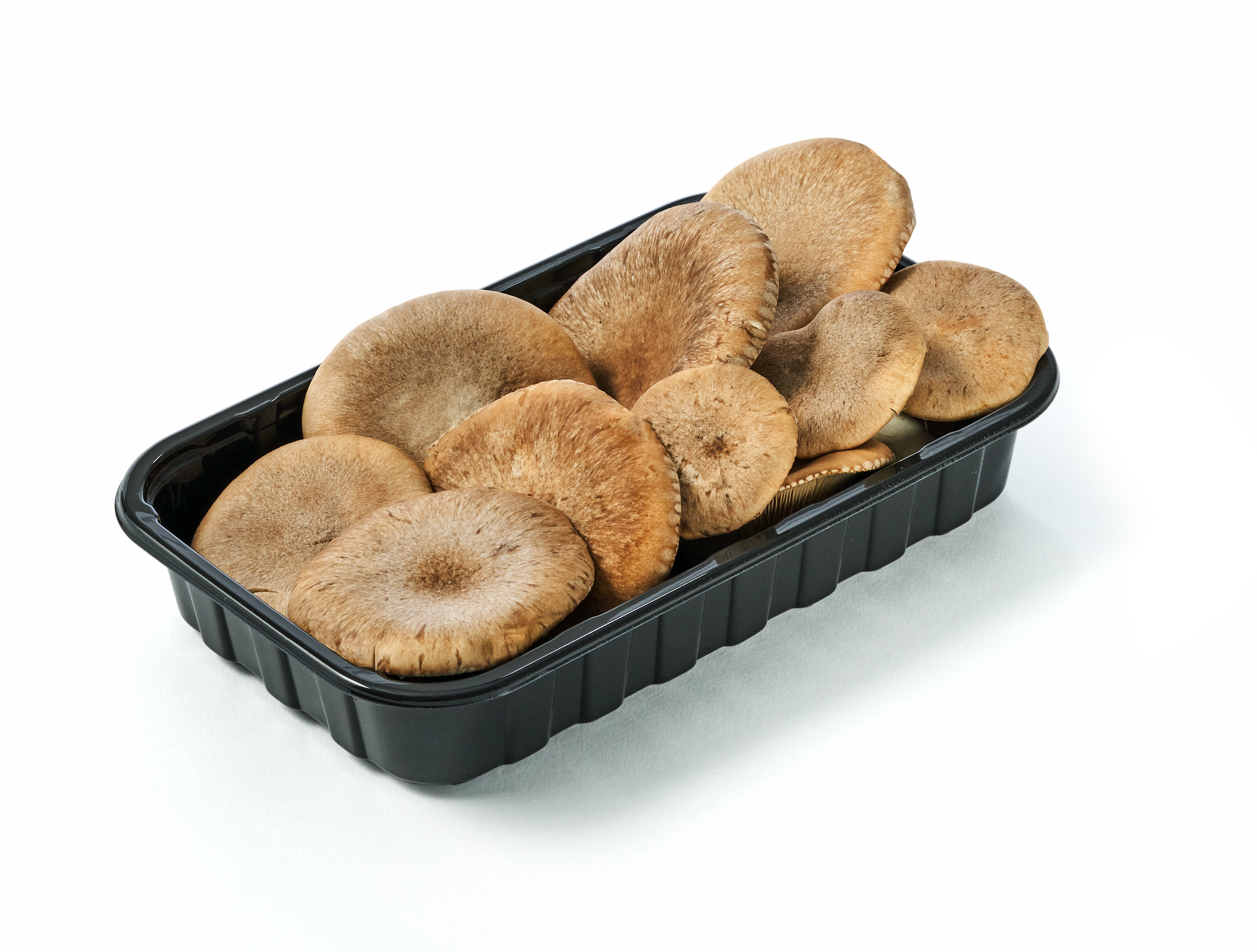 Funghi cardoncelli coltivati