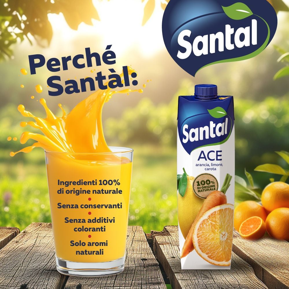 Santal Succo di frutta ACE 1000 ml