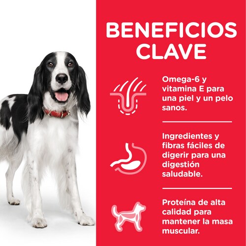 Hills 604221 cibo umido per cani Pollo, Manzo, Maiale Universale 370 g