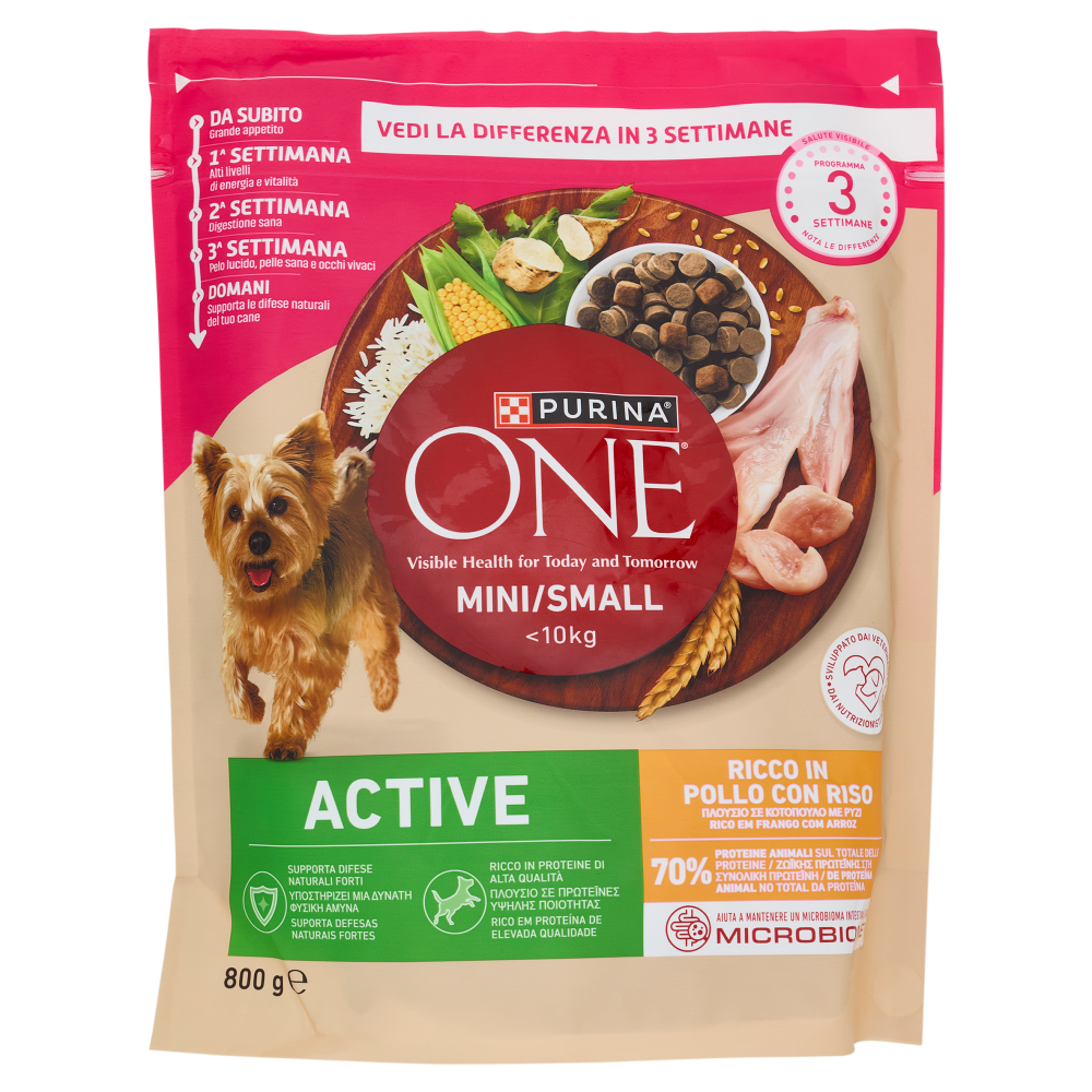PURINA ONE Mini/Small Active Pollo e Riso 800g