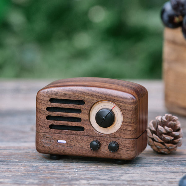 Muzen Audio Muzen Otr Wood Bluetooth Spearer E Radio Fm