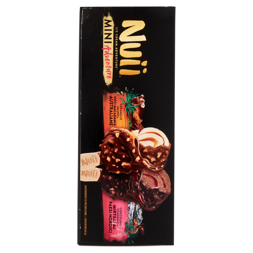 NUII Mini Adventure Caramello Salato e Noci Macadamia e Cioccolato Fondente e Mirtilli 6 Gelati 253g