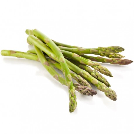 Asparagina Bio sfusa Italia II categoria
