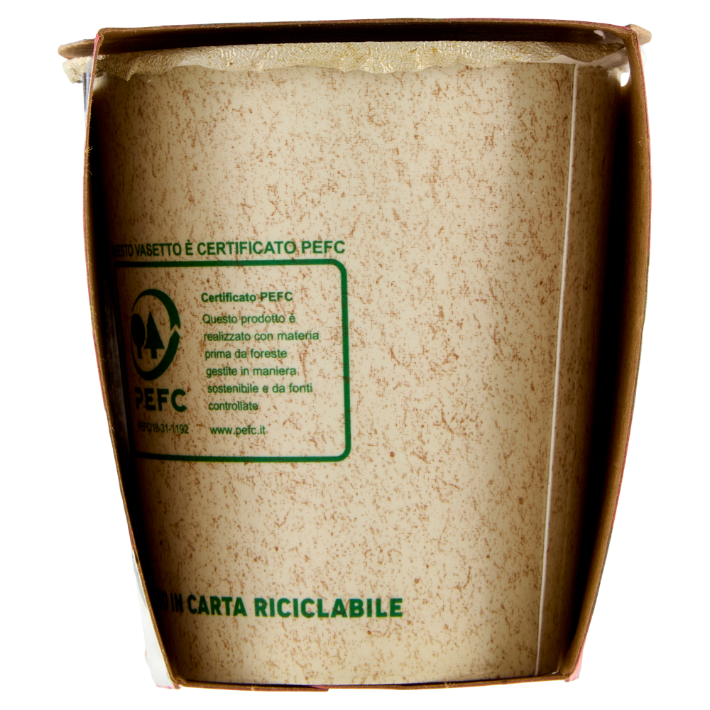 Yomo il Mirtillo nero 2 x 125 g