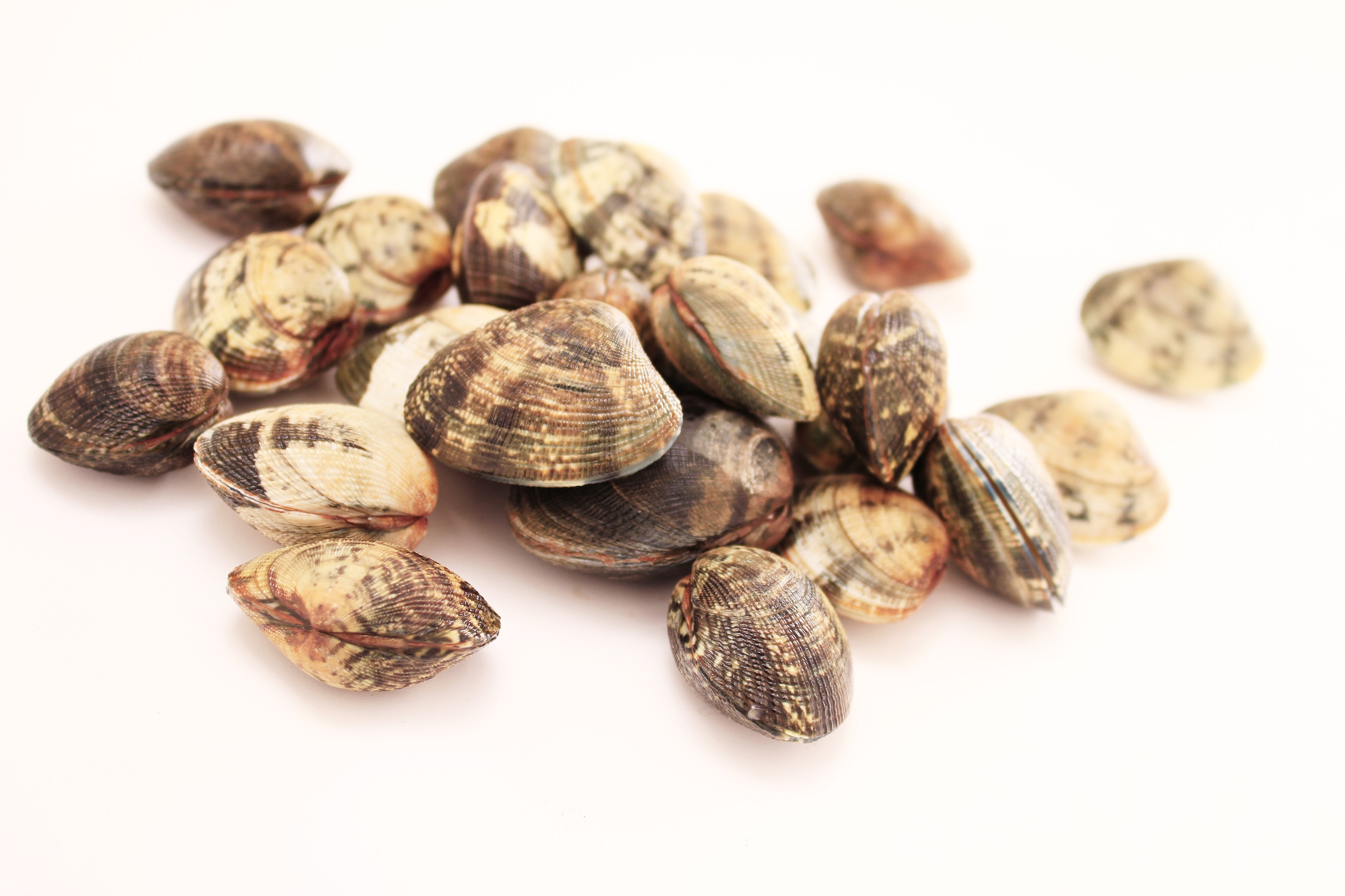 Lupini da Banco 500g Pescati Italia