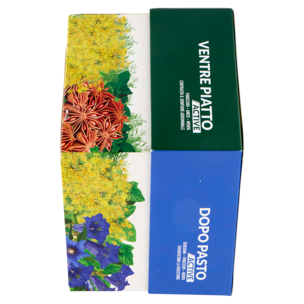 L'Angelica Tisane Funzionali Active 60 filtri 110 g