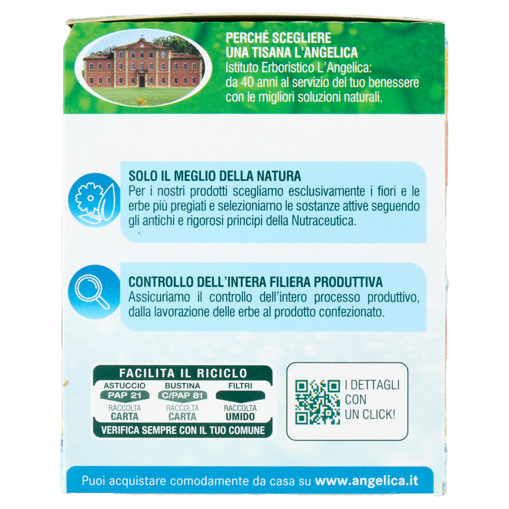 L'Angelica Tisana Fredda Ricarica con Magnesio Limone con Guaran&agrave; 18 Filtri 36 g