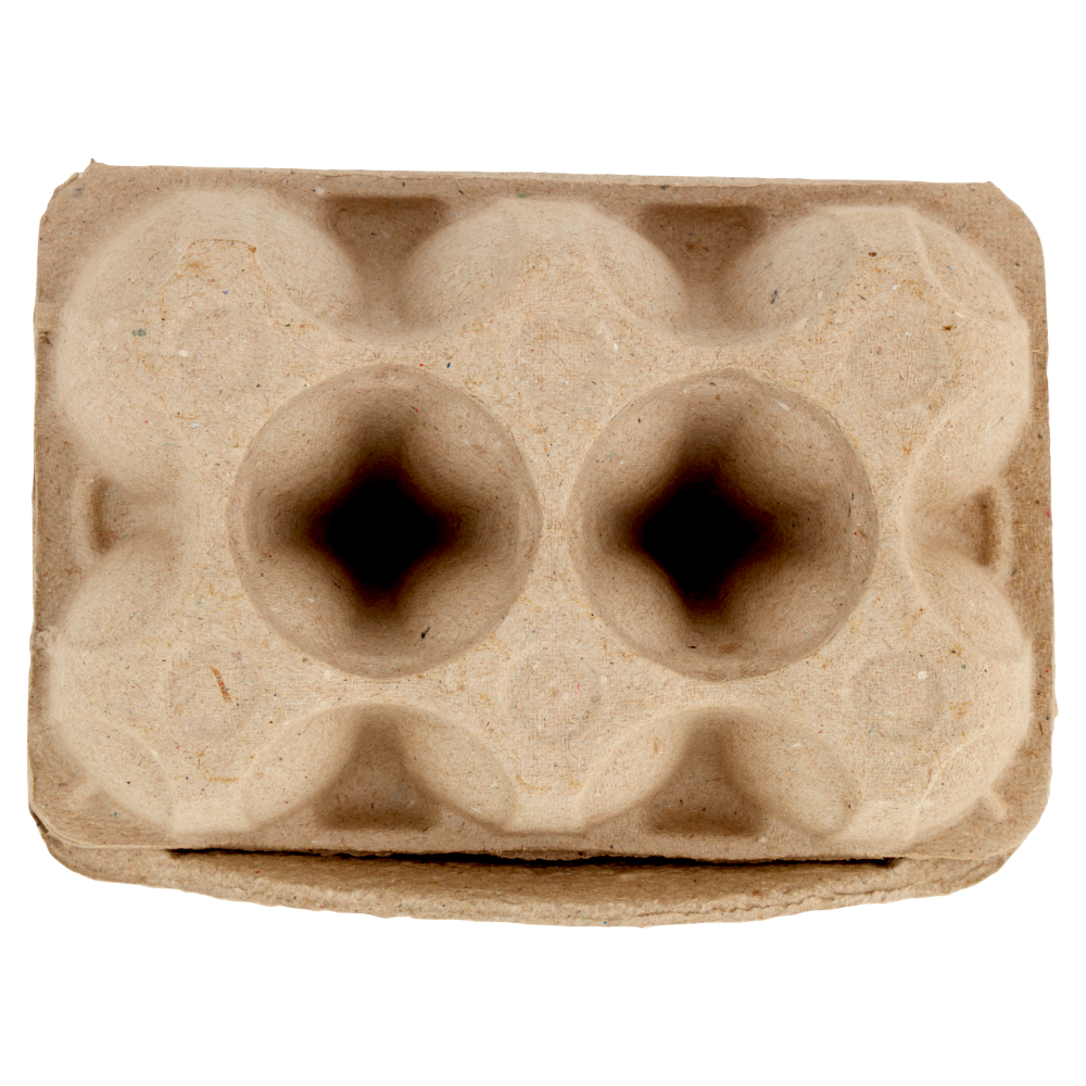 le Naturelle Le Regionali Piemonte 6 Uova Grandi Fresche da Allevamento a Terra