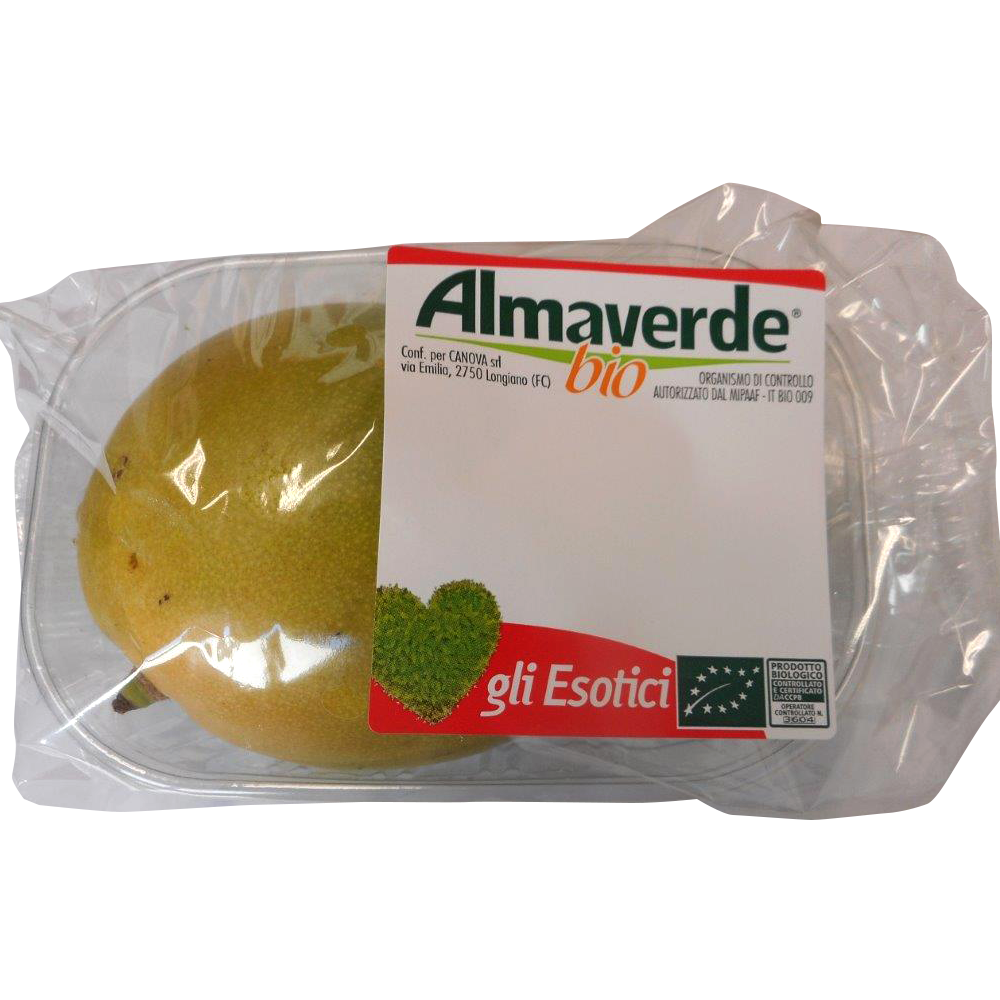 MANGO&nbsp;BIO&nbsp;