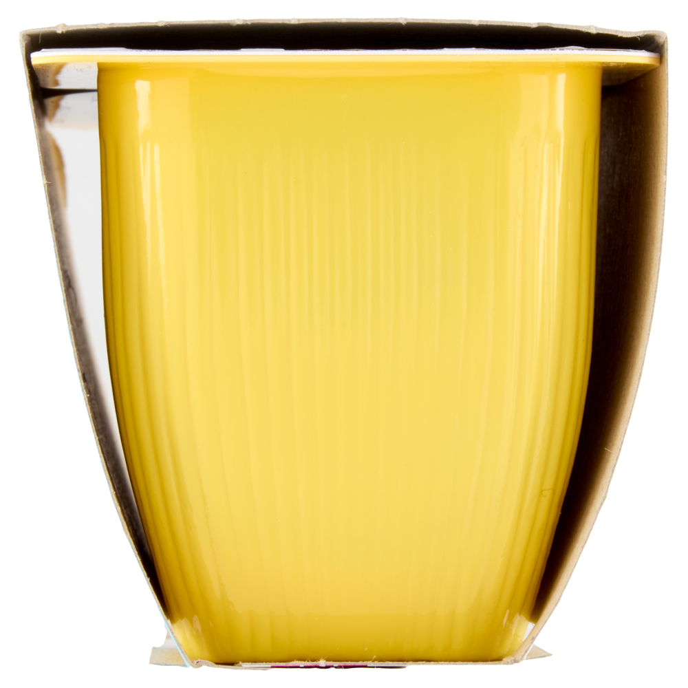 Valsoia Bontà e Salute la Crème Vaniglia 2 x 115 g