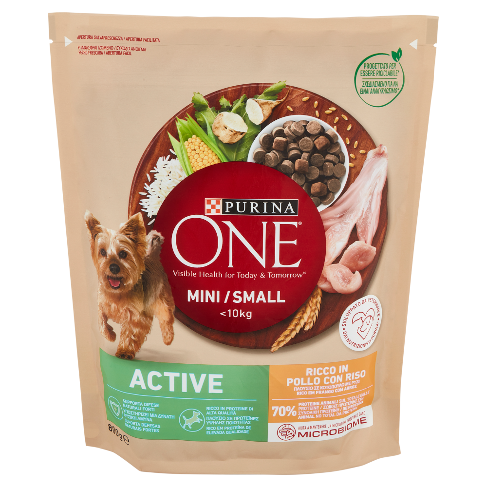 PURINA ONE Mini/Small Active Pollo con Riso 800 g