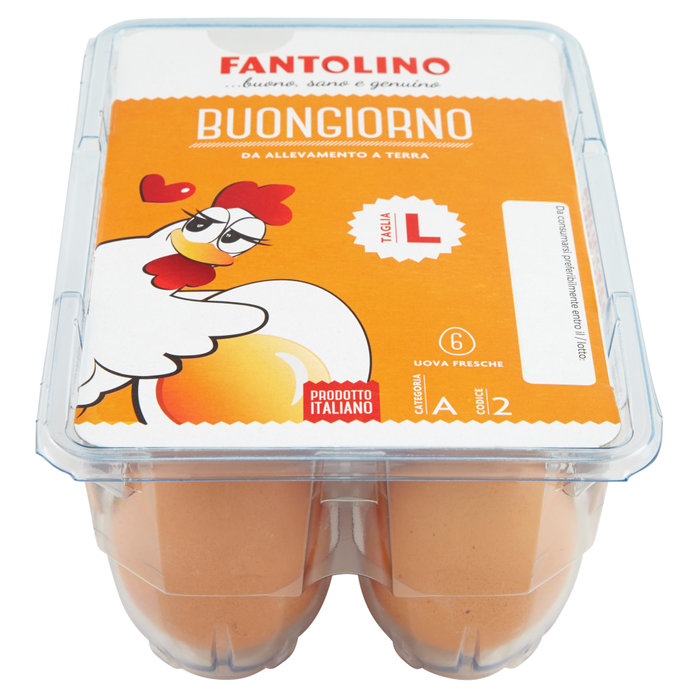 Fantolino Buongiorno 6 Uova Fresche da Allevamento a Terra Taglia L
