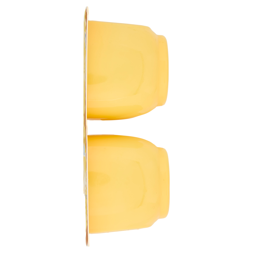 DANETTE  budino gusto vaniglia, fresco dessert, Senza Conservanti, Senza Glutine, 4x125g