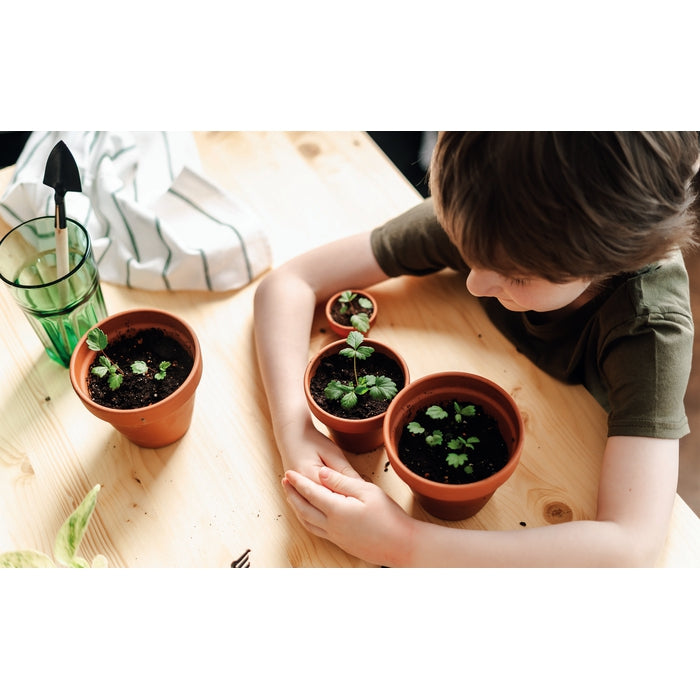 Clementoni 19393 giocattolo e kit di scienza per bambini